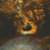 Fall Weather (Single)