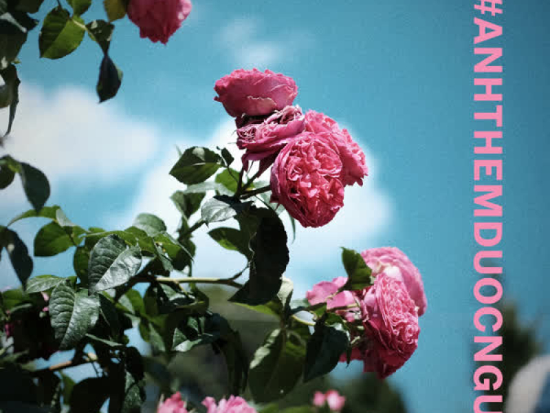 anh thèm được ngủ (Single)