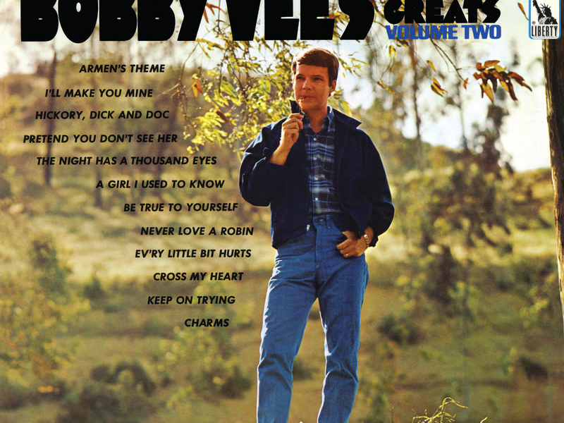 Bobby Vee's Golden Greats (Vol. 2)