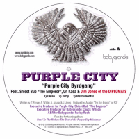 Purple City Byrdgang (feat. Jim Jones (of the Diplomats), Un Kasa & Sheist Bubz) (12