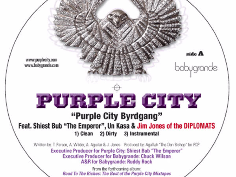 Purple City Byrdgang (feat. Jim Jones (of the Diplomats), Un Kasa & Sheist Bubz) (12