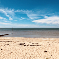 Trombone at the Beach (Single)