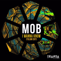 I Wanna Know (Tulum Edit) (Single)