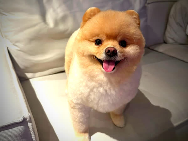 หนูก็รู้ (Single)