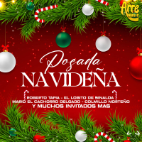 Posada Navideña