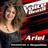 Encontros E Despedidas (The Voice Brasil 2016) (Single)