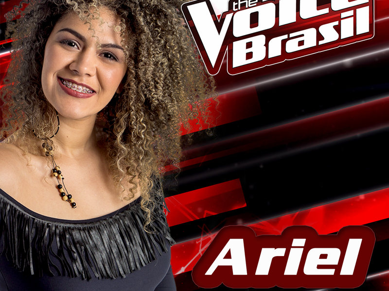 Encontros E Despedidas (The Voice Brasil 2016) (Single)