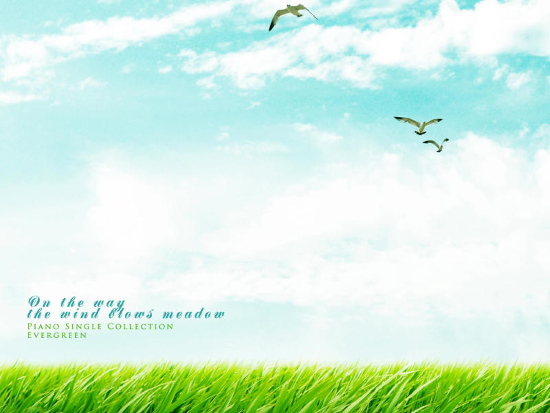 In the windy meadow (Single)