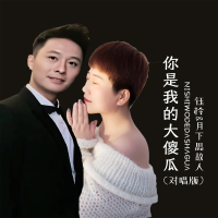 你是我的大傻瓜 (对唱版) (Single)