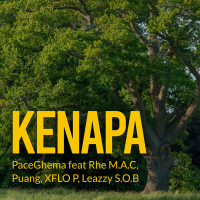 Kenapa (Single)