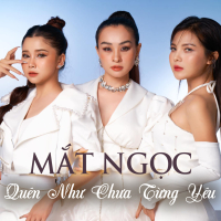 Quên Như Chưa Từng Yêu