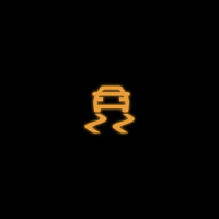 Traction Control (Single)