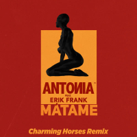 Mátame (Charming Horses Remix) (Single)