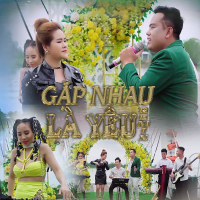 Gặp Nhau Là Yêu (Remix) (Single)