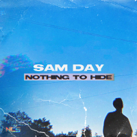 Nothing To Hide (Single)