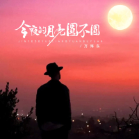 今夜的月亮圆不圆 (DJ京仔版) (Single)