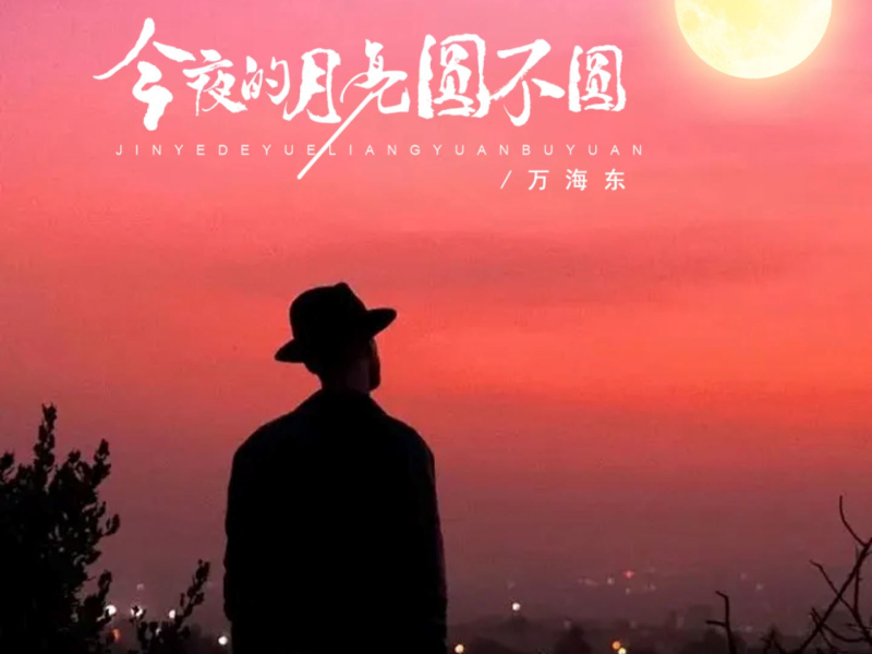今夜的月亮圆不圆 (DJ京仔版) (Single)