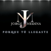 Porque Tú Llegaste (Single)