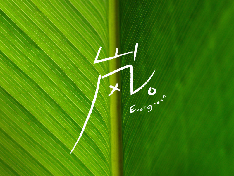 岚 Evergreen (Single)