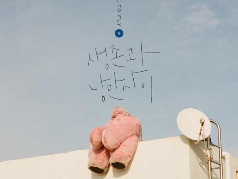 Between Survival & Romance (Single)