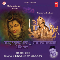 Mahamritunjaya Mantra 108 Baar & Bhavanyashtakam (Single)