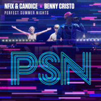 Perfect Summer Nights (Single)