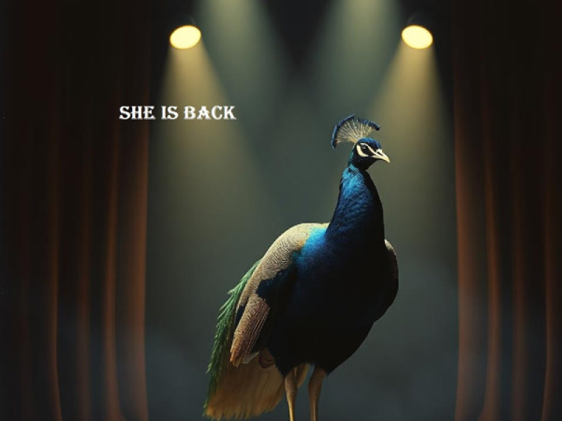 she is back (Single)