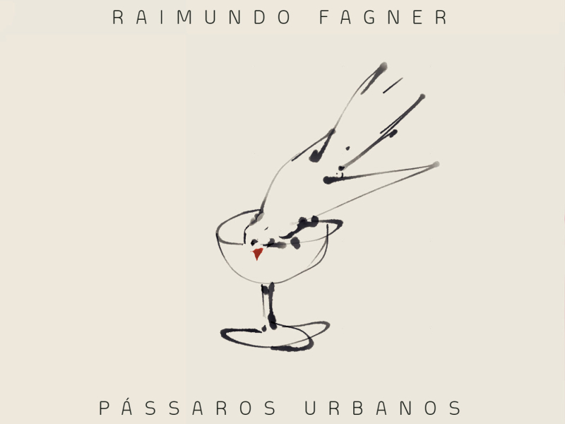 Pássaros Urbanos