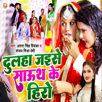 Dulha Jaise South Ke Hero (Single)