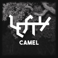 Camel (Single)