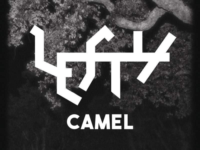 Camel (Single)