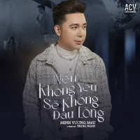 Nếu Không Yêu Sẽ Không Đau Lòng (Single)