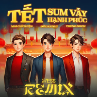 Tết Sum Vầy Tết Hạnh Phúc (Ness Remix) (Single)