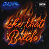 Like That Bitch (Single)