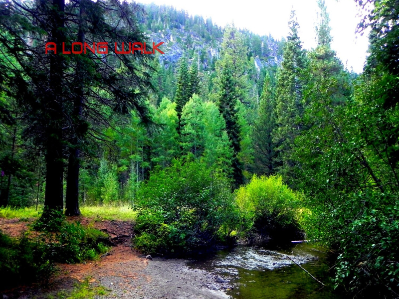 A Long Walk (feat. Jill Scott) - Single