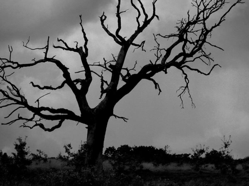 Věčnost Věnovaná Tobě 2 (Single)