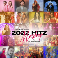2022 HITZ Mashup (Single)