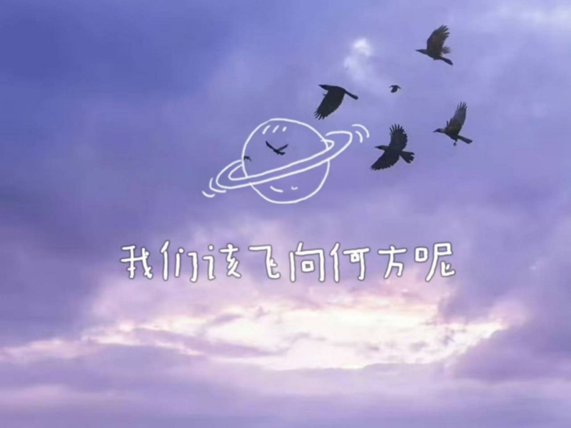 我们该飞向何方呢 (Single)