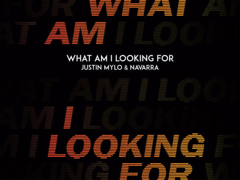 What Am I Looking For (Single)