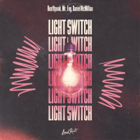 Light Switch (Single)