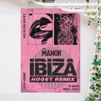 Ibiza (Hoost Remix) (Single)