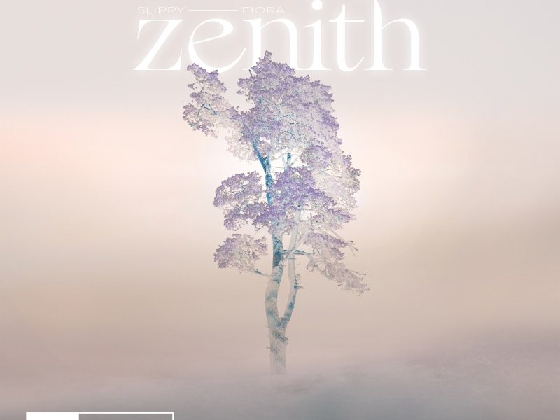 Zenith