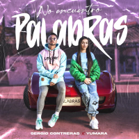 No encuentro palabras (Single)