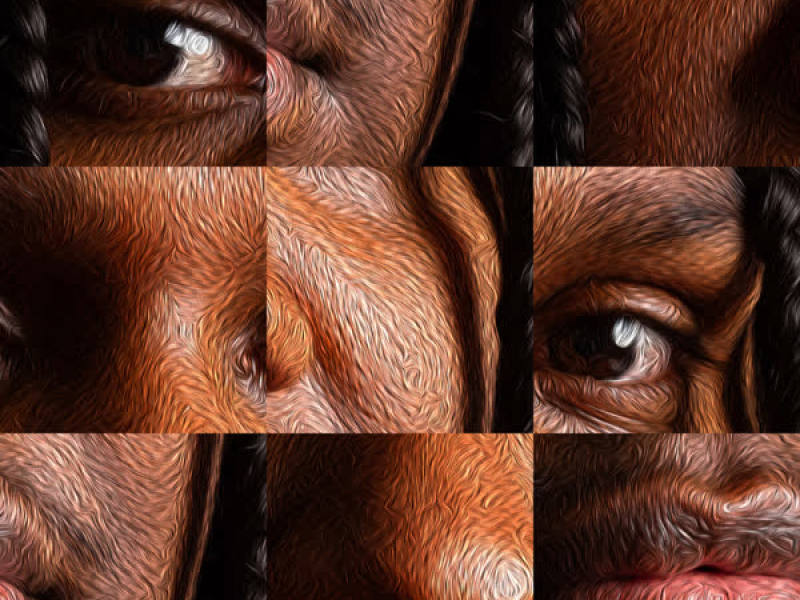 THICK SKIN (feat. Thelma Plum, Emma Donovan, Kee'ahn & Jada Weazel) (Single)