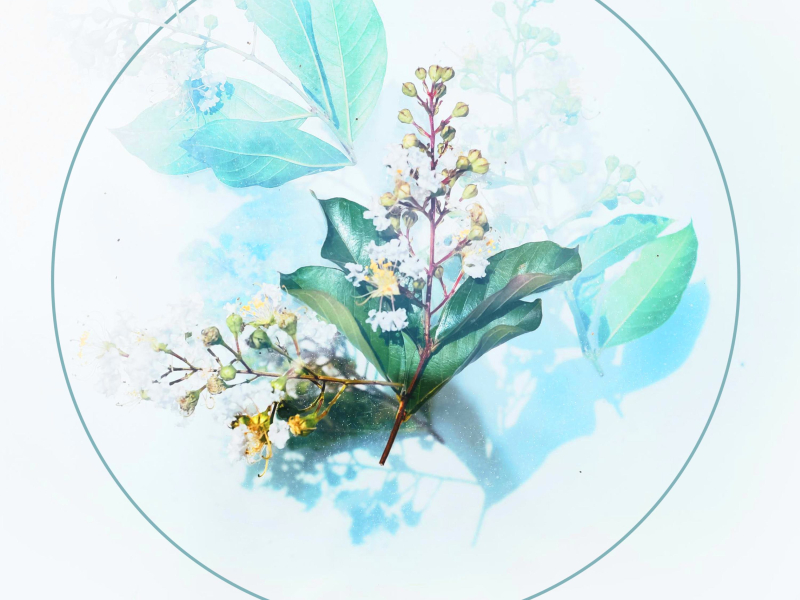 Dreamer (feat. Ane Flem) (Single)