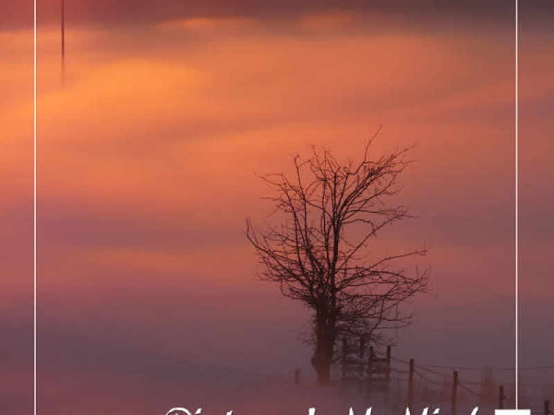 Pictures In My Mind (Single)