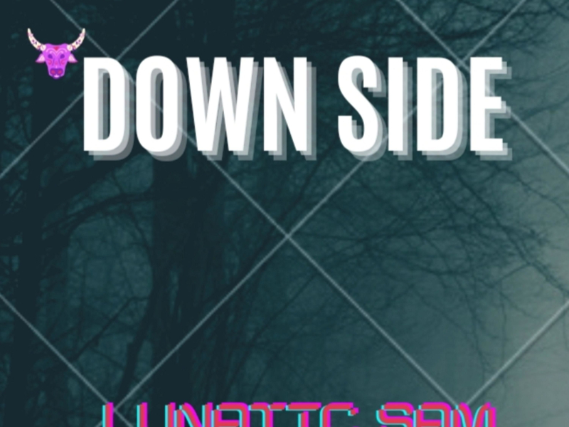 Down Side (Single)