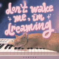 Don't Wake Me, I'm Dreaming (Single)