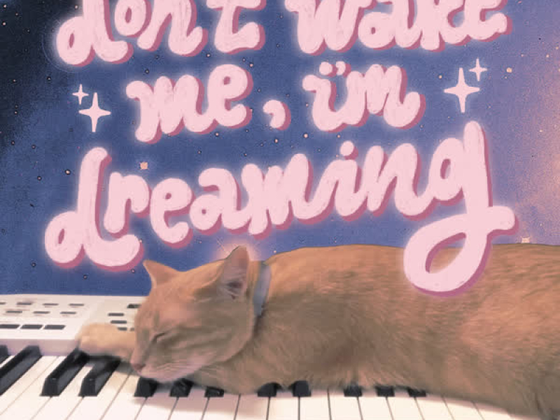 Don't Wake Me, I'm Dreaming (Single)