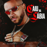 Caiu Na Lábia (Single)